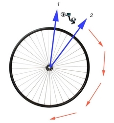 Метод поиска: метод велосипедного колеса