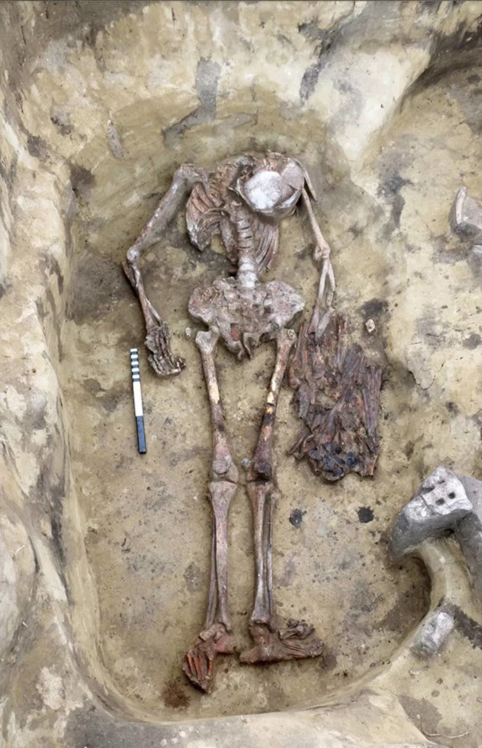 An unusual burial has been excavated in Siberia