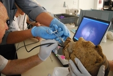 Тайна оторванной головы 4000-летней мумии