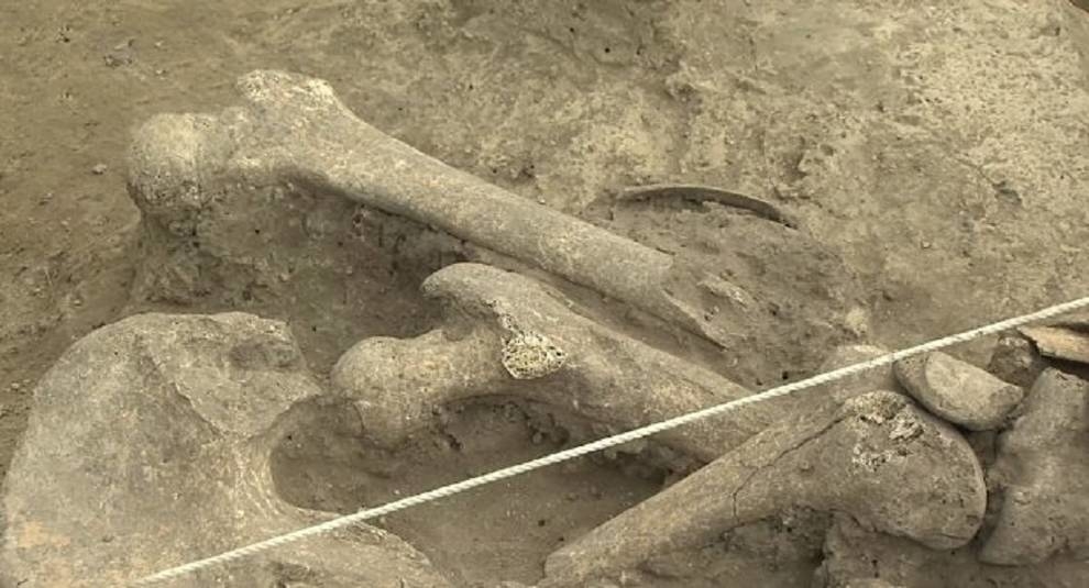 In Rivne region dug up an ancient skeleton of a man with a strange skull