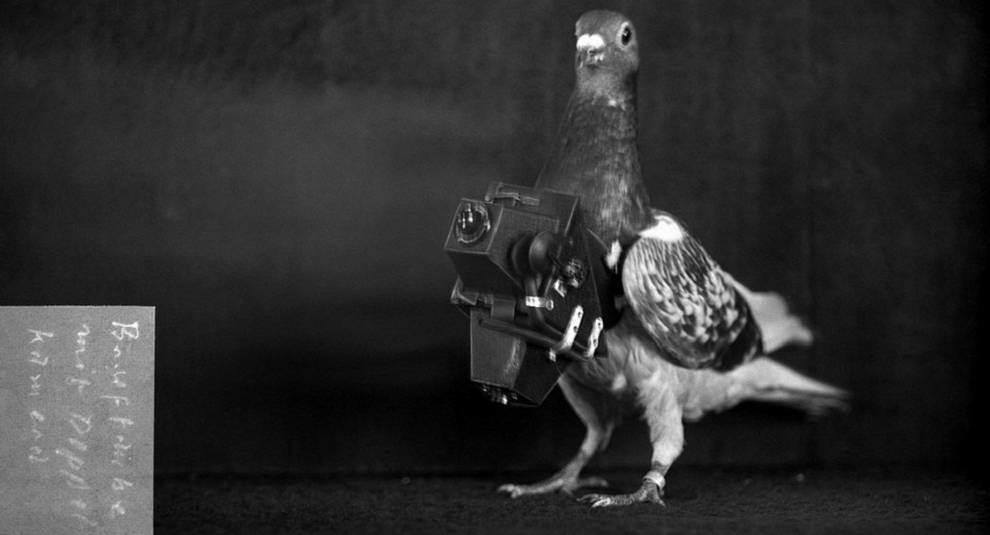 Pigeon shooting: early 20th century photos taken from a bird's eye view