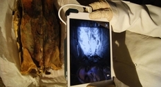 Древние тату: на мумиях обнаружены изображения
