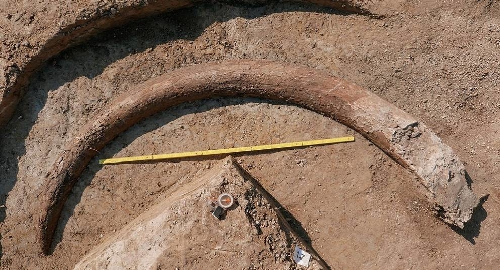 A mammoth tusk 2.5 meters long was found in Germany