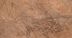 В пещере на Синайском полуострове найдены древние изображения животных