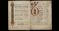 Библиотека монастыря святого Галла: как выглядят страницы старинных книг