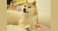 Famous Doge meme sold for $ 4 million