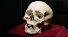 Мармуровий череп з резиденції саксонських монархів виявився роботою Берніні