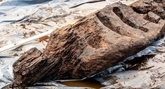 An ancient wooden idol was found in the Irish marshes