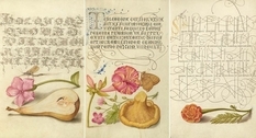 Mira calligraphiae monumenta: шедевр каллиграфии и книжной иллюстрации