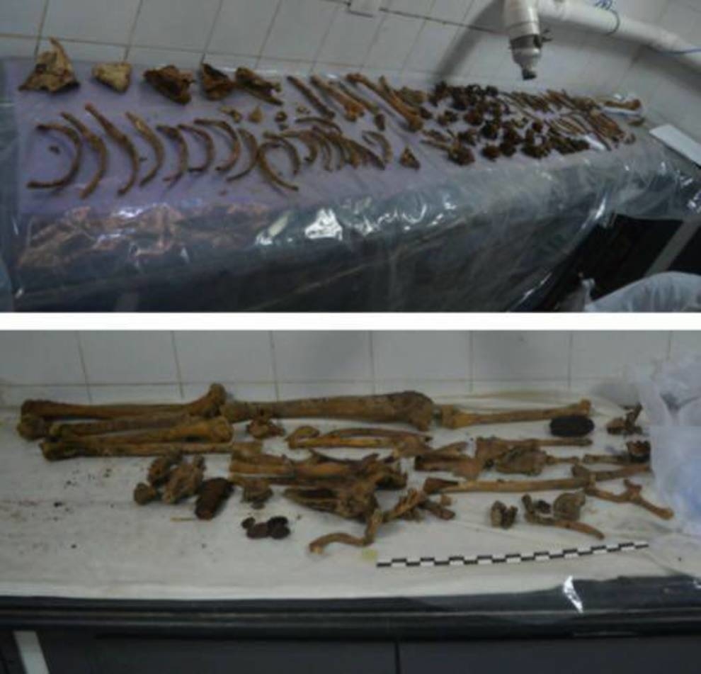 Scientists told about the contents of the black sarcophagus