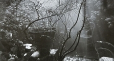 Czech photo masters of the XX century: the work of Josef Sudek