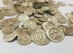 Пес из Польши во время прогулки отрыл монеты начала XIII века