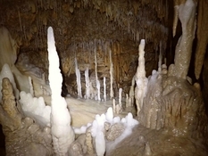 Французские рабочие нашли крупнейшую сеть погребальных пещер в Европе