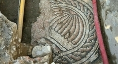 В Італії виявлено мозаїку часів правління Теодоріха Великого