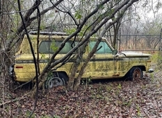 Hundreds of vintage cars in the open - an abandoned AMC dealership in an American forest