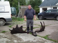 В Ірландії рибалка виловив череп реліктового лося
