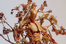 Дерево і пластик: скульптури Гаррет Кейн