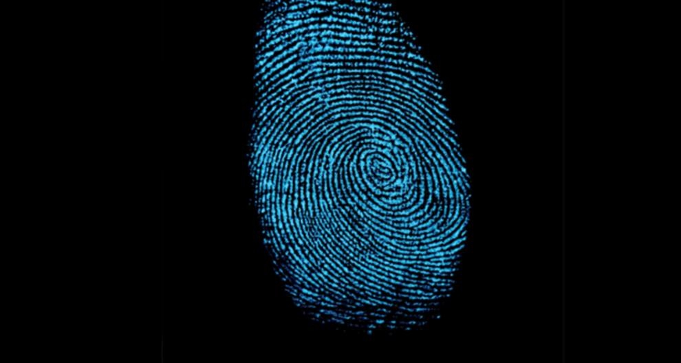 Millions of fingerprints are online