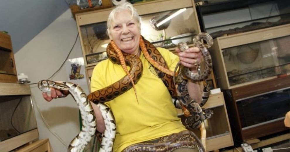 Английская пенсионерка собрала более 500 змей