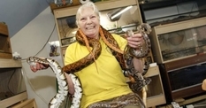 English pensioner has collected more than 500 snakes