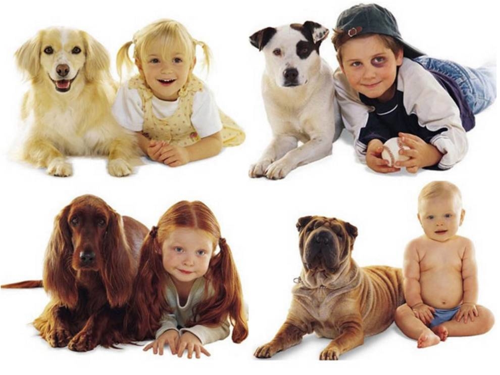 Dzieci i psy: fajny projekt fotograficzny