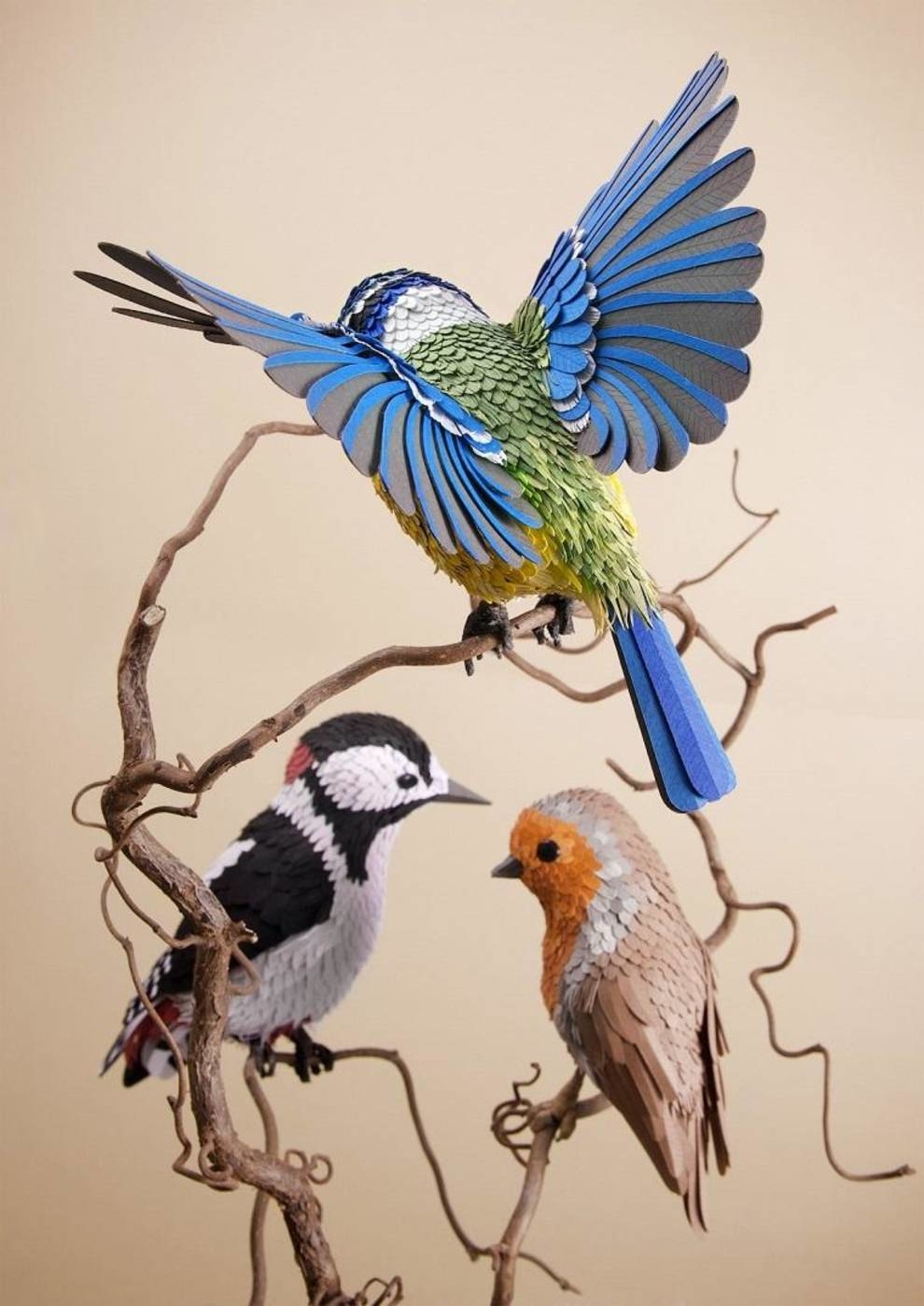 Bright plumage and natural colors — incredibly realistic birds made of paper by Lisa Lloyd (Photo)