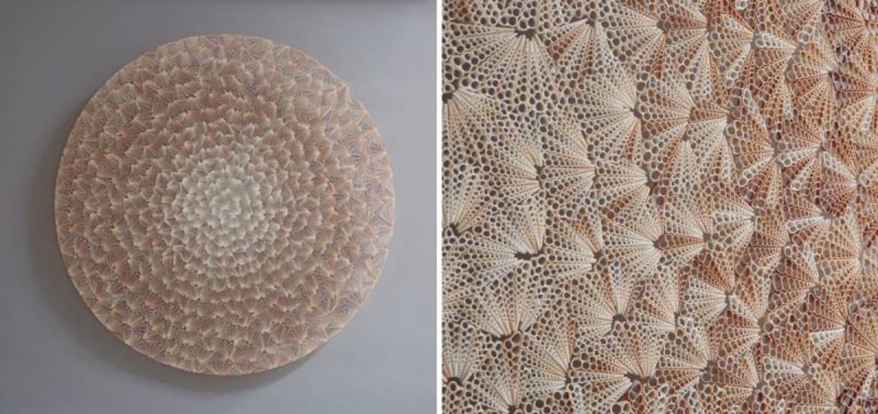 Sculptures from thousands of shells are created by a craftsman from Great Britain (Photo)