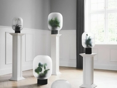 The plants in the fog: the vases from Studio Rem