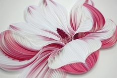 Wyrafinowane magnolie i wyrafinowane irysy - oszałamiające papierowe kwiaty twórczego duetu z USA (Zdjęcie)