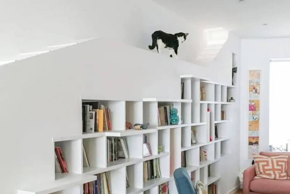 Dom kota: rodzina z Brooklynu stworzyła idealne mieszkanie dla swoich zwierząt (Zdjęcie)
