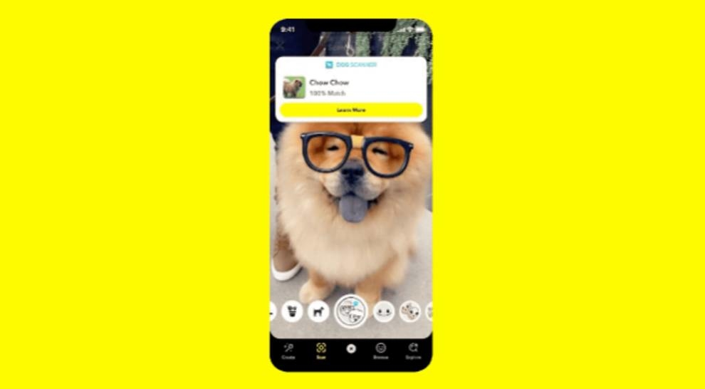 Определение видов растений и пород собак — новые функции Snapchat