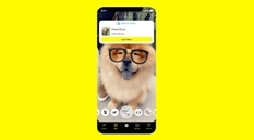 Identifying Plant Species and Dog Breeds — New Snapchat Features