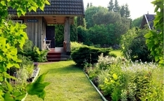 High hedge and dark glass - a great place for self-isolation in Estonia (Photo)