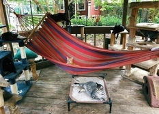 Craftsmen shared projects of patio for cats (Photo)