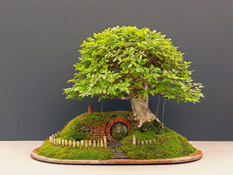 The British raised a bonsai for the hobbits (Photo)