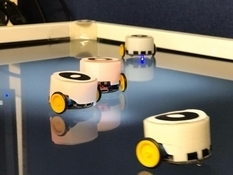 Scientists have created robots that can 