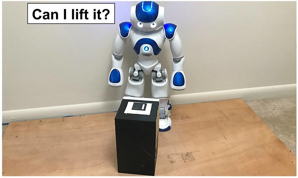 Collect small objects and lift weights - new functions of humanoid robots