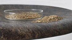 Датская студия разработала табурет из остатков зерен