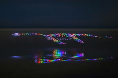 Amerykański fotograf tworzy świetliste dinozaury za pomocą specjalnej technologii fotograficznej (foto, wideo)