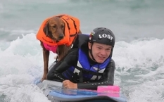Собака-серфингист учит кататься людей с особенностями и ветеранов на пляжах США (Фото)