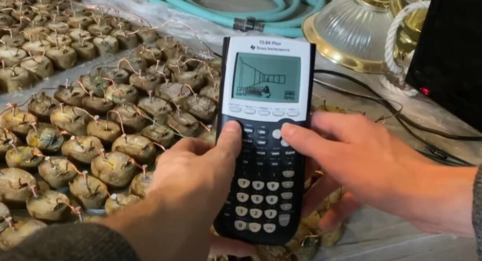 „Bateria” ziemniaków i kalkulator: YouTuberzy pokazali, jak można zdobyć energię do gry (wideo)