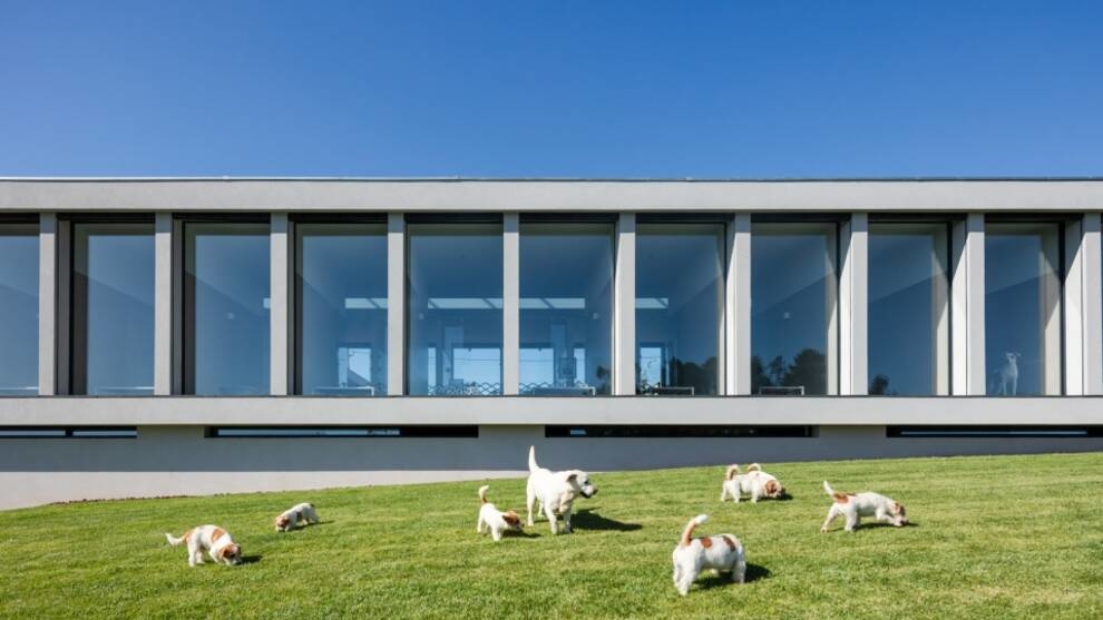 Португальська архітектор побудував готель для тварин площею 800 кв. м