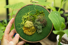 Textile specialist creates realistic moss embroidery (Photo)