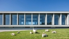 Португальский архитектор построил отель для животных площадью 800 кв. м