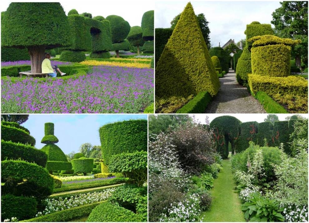 Levens Hall Garden: OXO remembered the highest skill in gardening plants (Photo)