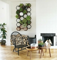 Brytyjscy projektanci wymyślają w wolnym czasie wiszące półki o strukturze plastra miodu (zdjęcie)