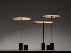 Lights-the mushrooms from the mycelium for environmental startups