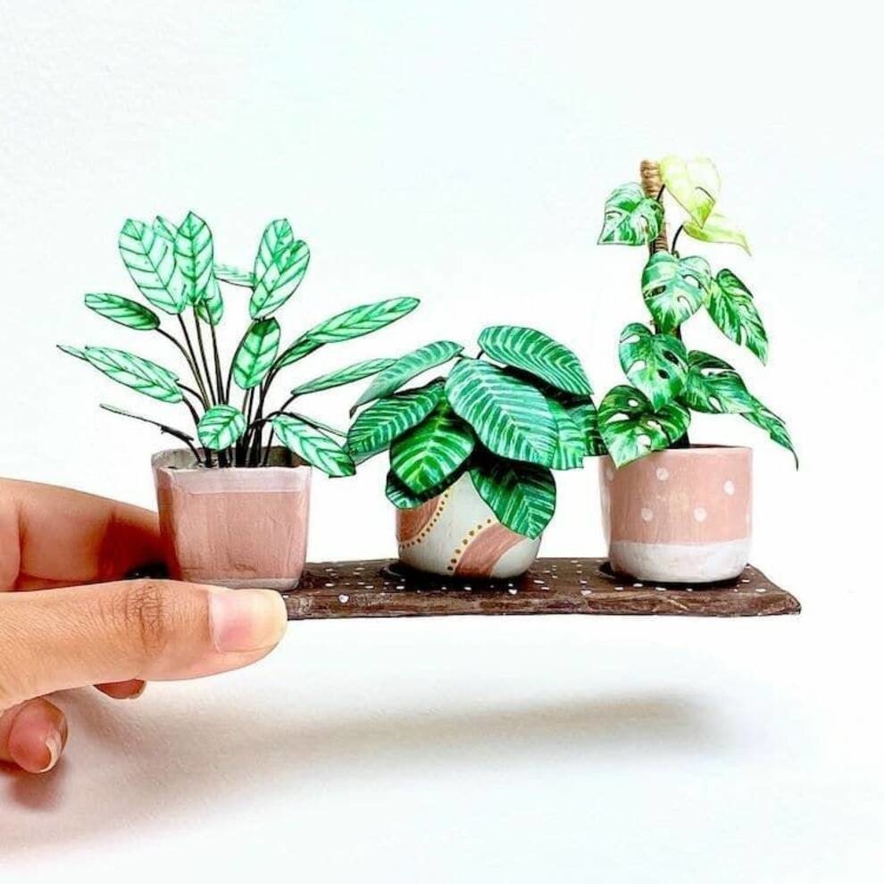 Художница из Великобритании создает миниатюрные копии комнатных растений (Фото)