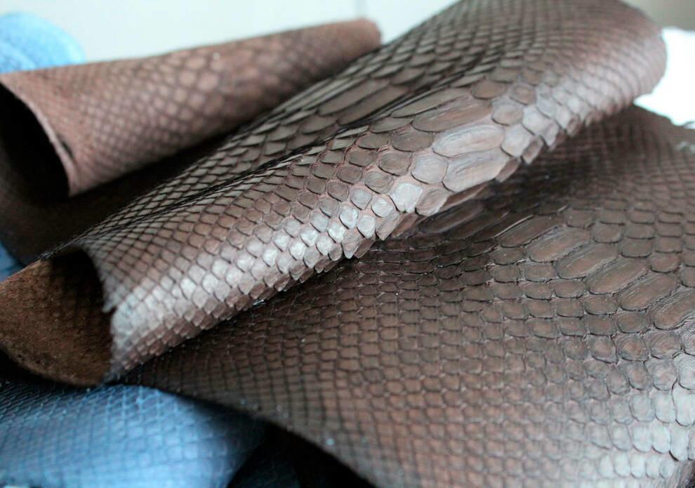 Вдохновленные змеиной кожей: ученые из США разработали новый материал
