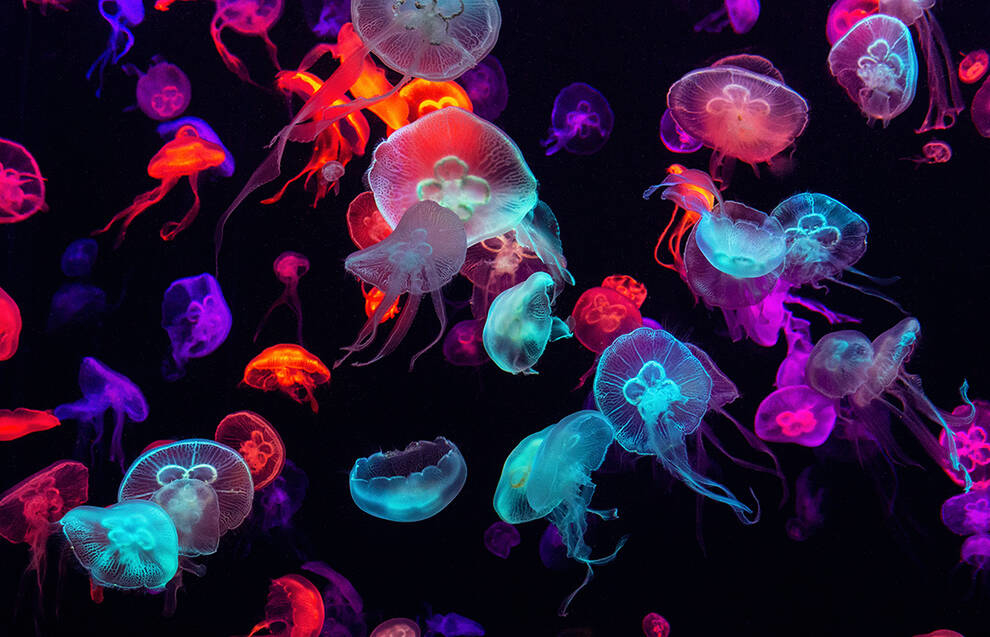 Британські вчені розробили робота-медузу 